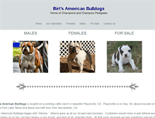 Tablet Screenshot of birtsamericanbulldogs.com